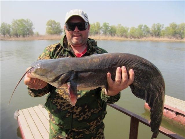 Можно ли рыбачить на Волге? Обзор правил и возможностей рыбалки на реке Волга