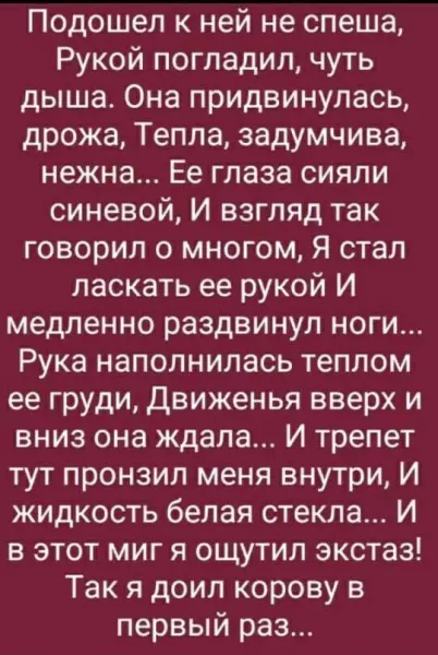 Ты мне сказал, что любишь сиськи - стихотворение поэта Эману Элька