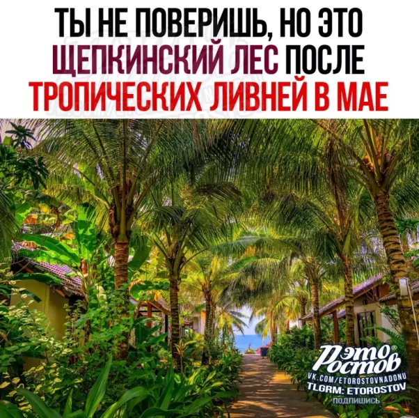 i (1).webp