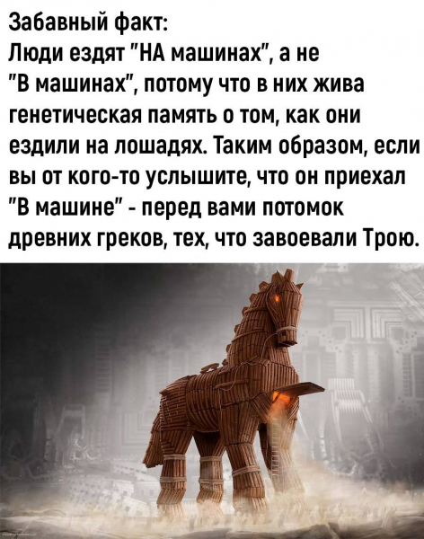 изображение_2023-06-11_165249686.png