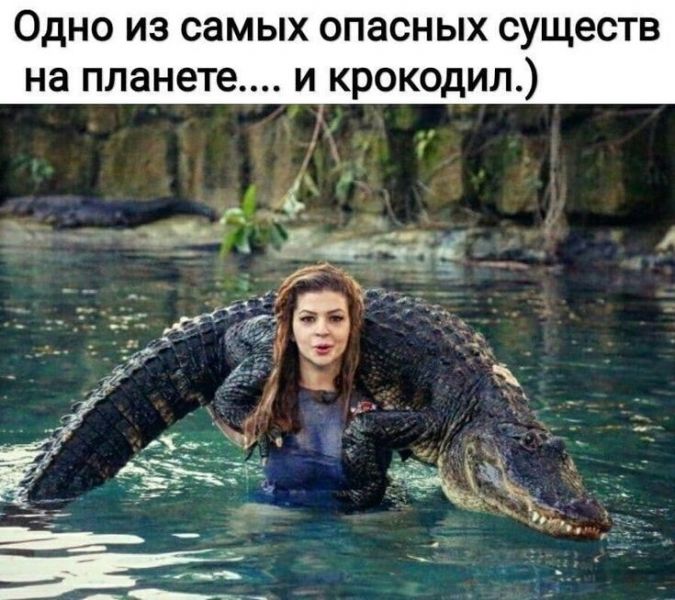 iрложд.jpg