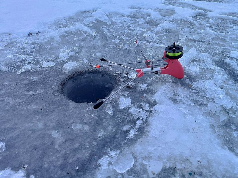 photo_2024-02-01_17-19-18.jpg