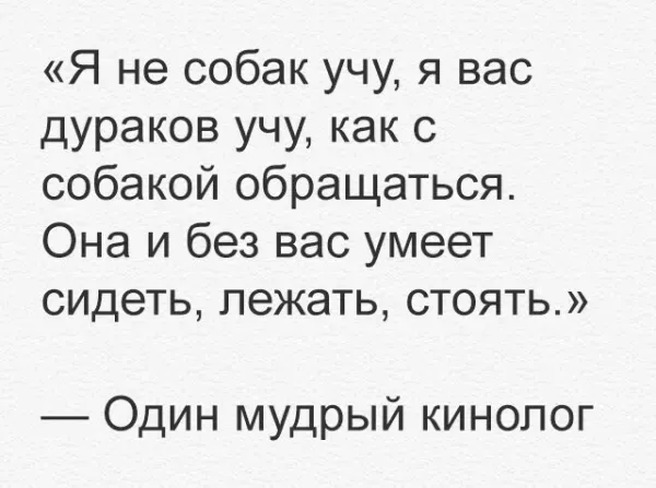 i (82).webp