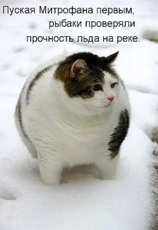 i - 2026-01-23T153910.202.webp