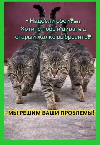 i - 2026-02-17T192443.621.webp