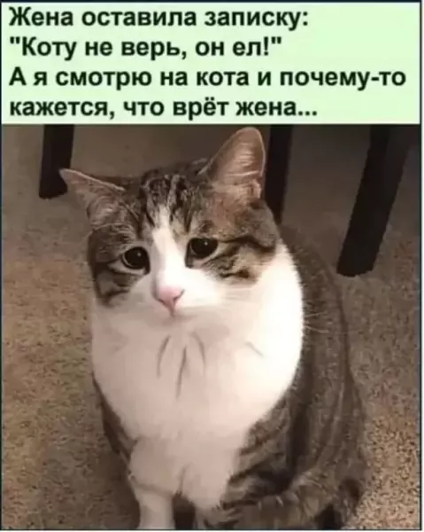 i - 2026-04-21T131057.196.webp